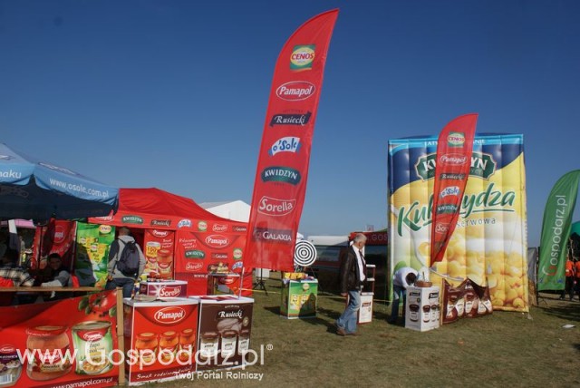 Zdj. - 99 - PAMAPOL S.A.