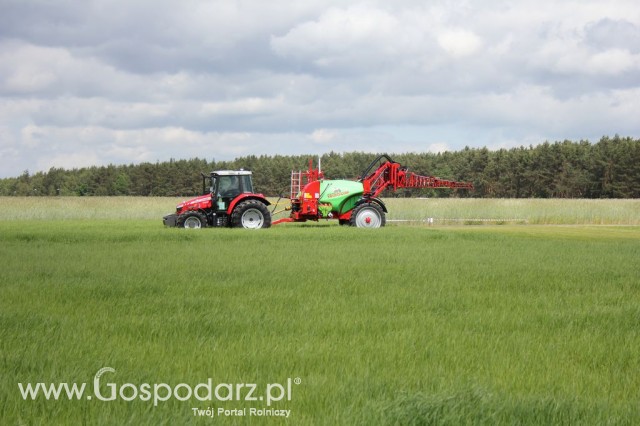 Zielone Agro Show Kąkolewo - Polskie Zboża  - 90