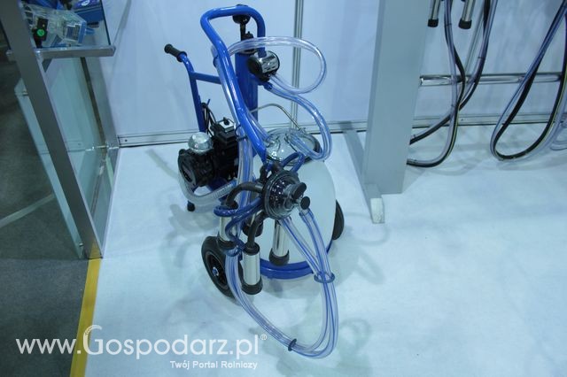 Fotoreportaż  z XI Międzynarodowych Targów Fermy Bydła