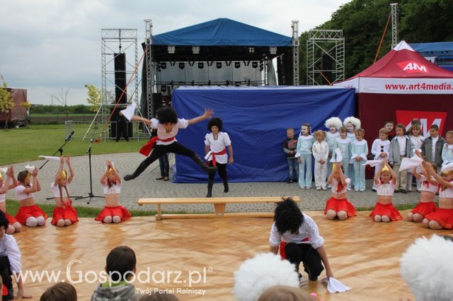 Występy artystyczne odbywające się podczas Dni Indyka