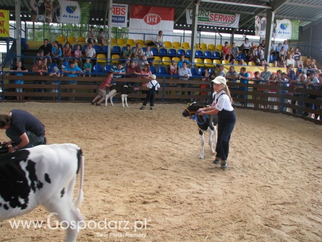 Młody Hodowca - Szepietowo 2012 - 85