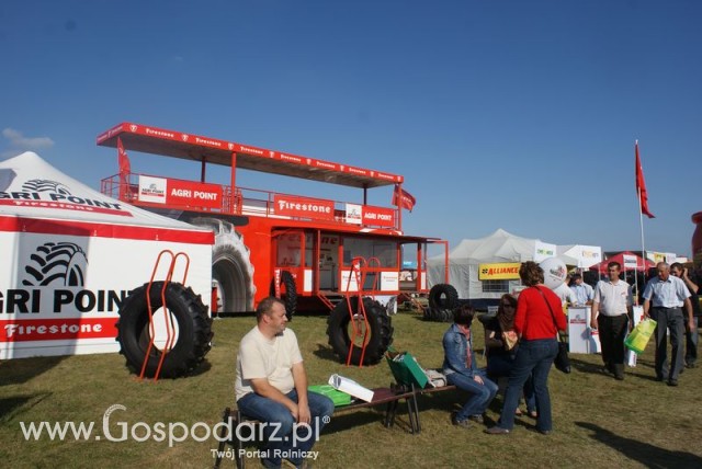 Zdj. - 104 - Firestone