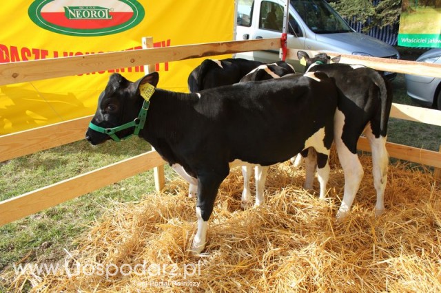 Foto reportaż z Targów Rolno-Ogrodnicze AGROMARSZ Marszew 2011