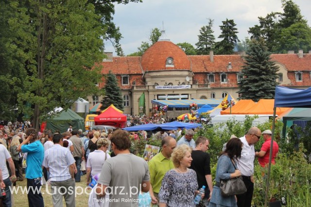 XX Targi Rolnicze Lubniewice