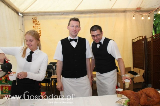 Pierwsze dni indyka w Koźminku