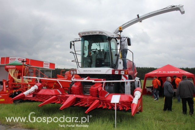 Zielone Agro Show Kąkolewo - Polskie Zboża  - 19