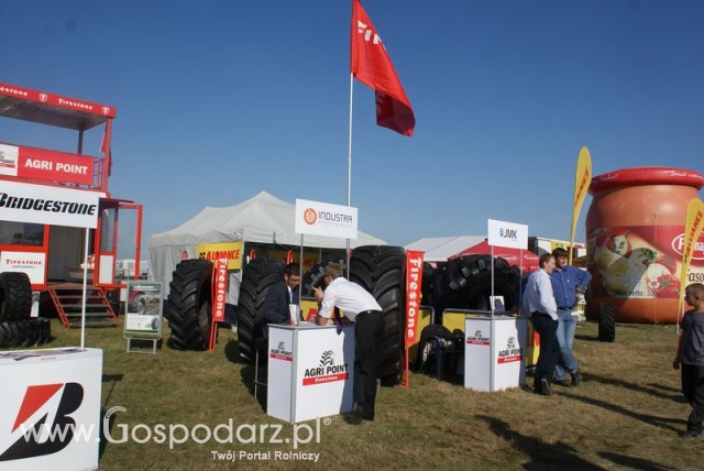 Zdj. - 102 - Firestone