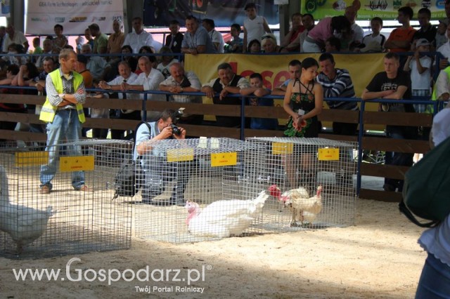 Nagrody - Szepietowo 2012 XIX Regionalna Wystawa Zwierząt Hodowlanych - 51