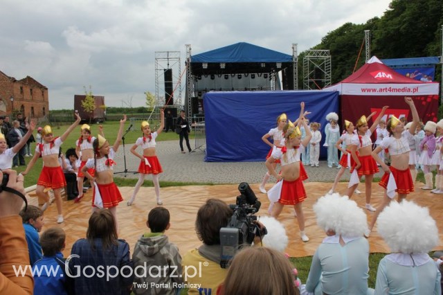 Występy artystyczne odbywające się podczas Dni Indyka