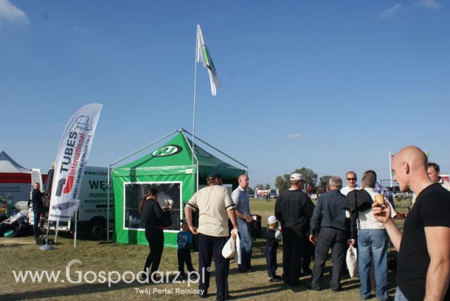 Zdj. - 147 - K i J S.C. Przedsiębiorstwo Wielobranżowe