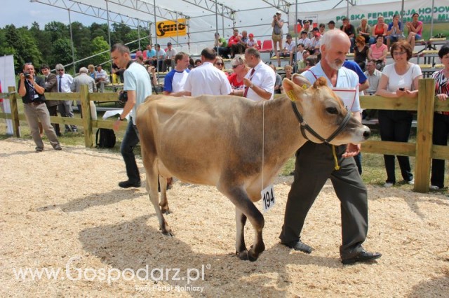 Nagordy dla superchampionów i championów  - 12