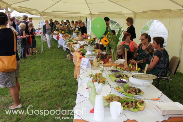 IX Święto Gęsi w Biskupcu - 36