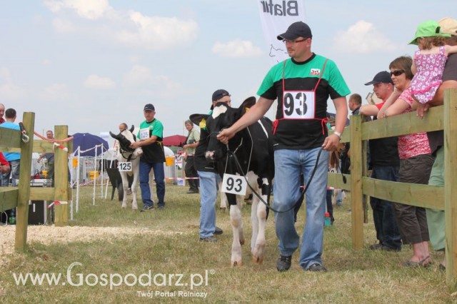 Nagordy dla superchampionów i championów  - 44