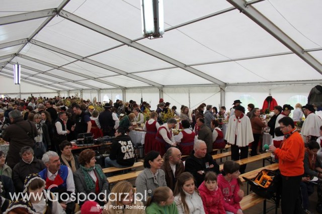 Fotoreportaż z XIV Spotkań Tradycji Wielkanocnych Ziemi Kłodzkiej