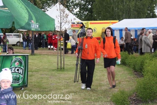 Pierwsze dni indyka w Koźminku