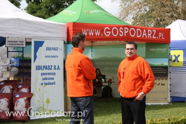 Pierwsze dni indyka w Koźminku