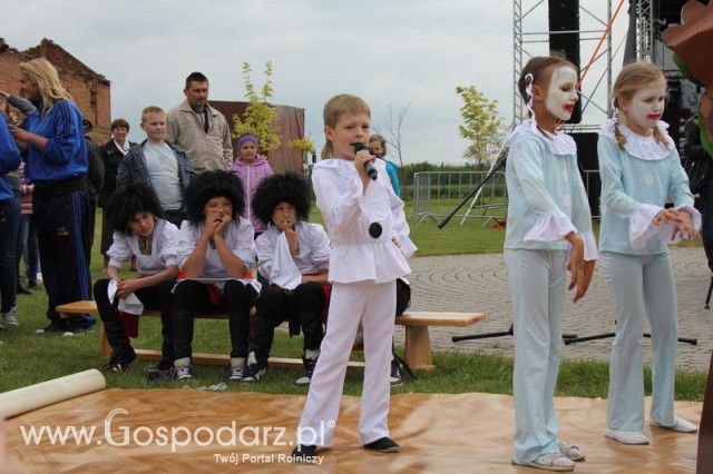 Występy artystyczne odbywające się podczas Dni Indyka