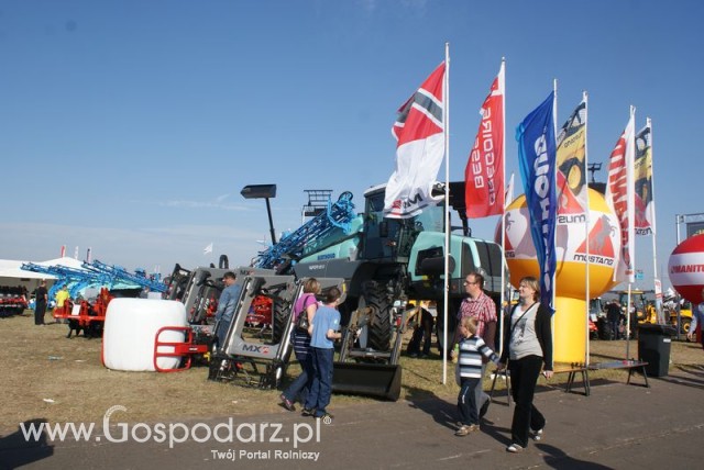 Zdj. - 378 - Gregoire Besson