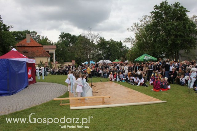 Występy artystyczne odbywające się podczas Dni Indyka