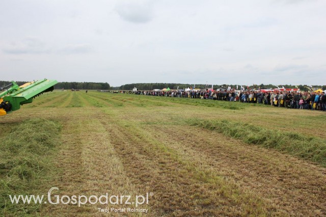 Polskie Zboża Zielone Agroshow - 46