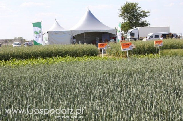 Polskie Zboża 2011 - Sobota