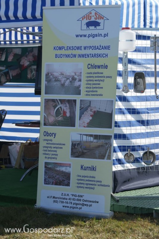 Zdj. - 86 - PIG-SIN Z.U.H.