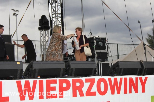 Festiwal Wieprzowiny w Bełżycach - 106