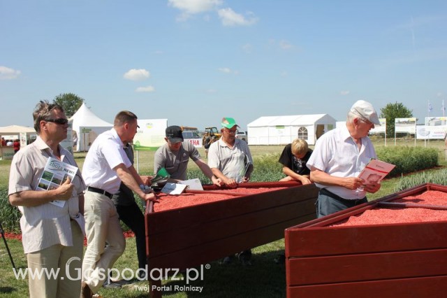 Polskie Zboża 2011 - Sobota