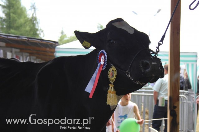 Relacja Foto Agro-Tech Minikowo 2012 - 69