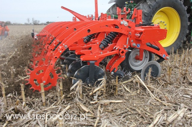 Kultywator STRIGER do uprawy pasowej - 8