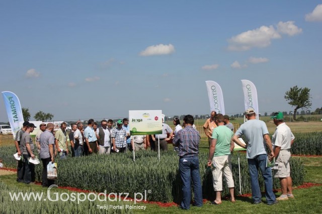 Polskie Zboża 2011 - Sobota