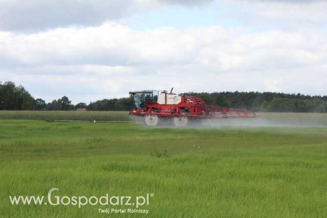 Zielone Agro Show Kąkolewo - Polskie Zboża  - 125