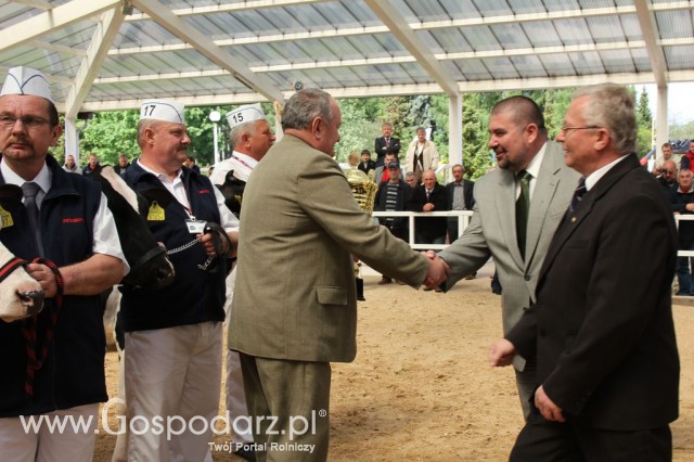 VII Ogólnopolska Wystawa Bydła Hodowlanego - 26