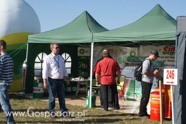 Zdj. - 157 - Sigma Sp. z o.o. 