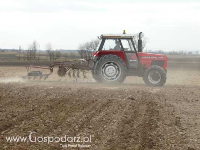 Ursus 1014 de luxe + agregat 