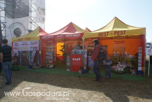 Zdj. - 476 - BEST-PEST