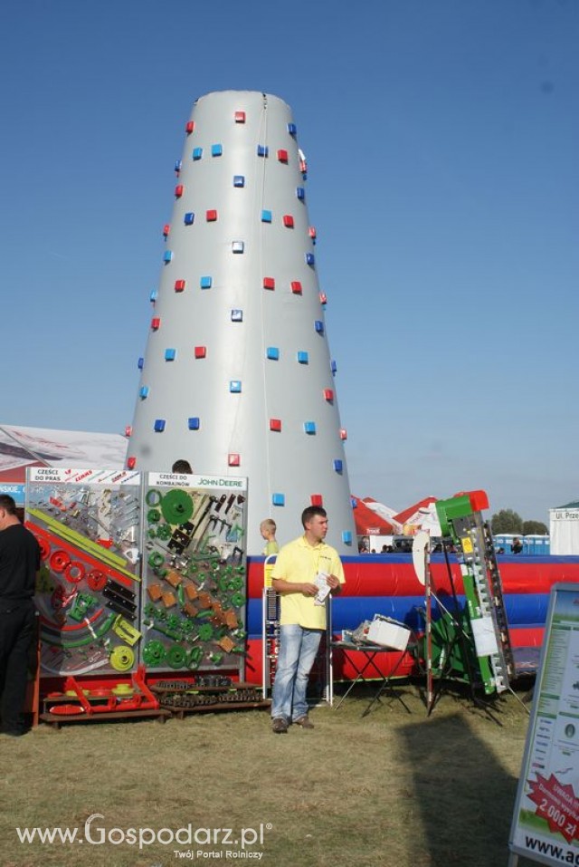 Zdj. - 231 - AGRO-JAN S.c.