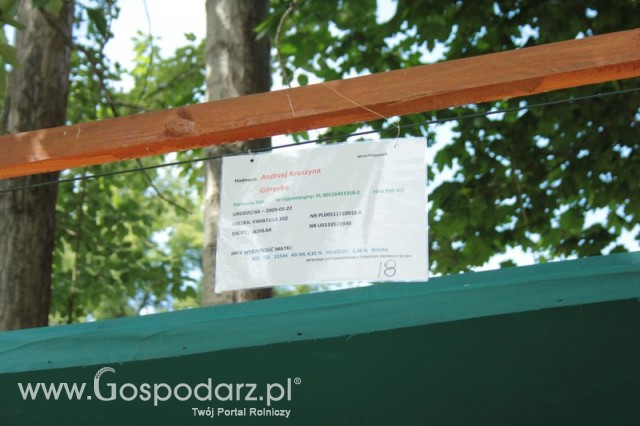 XX Targi Rolnicze Lubniewice 