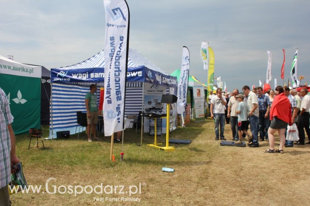 Miary i Wagi - Opolagra 2012 - 7