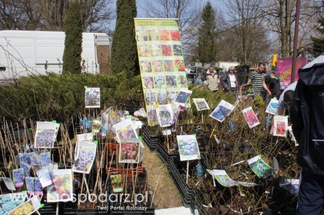 Fotoreportaż z XX Agro-Targów 2011 w Starej Łubiance