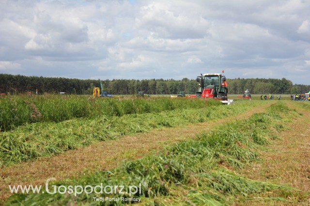 Pokazy Maszyn Polskie Zboża Zielone Agroshow 2012  - 34