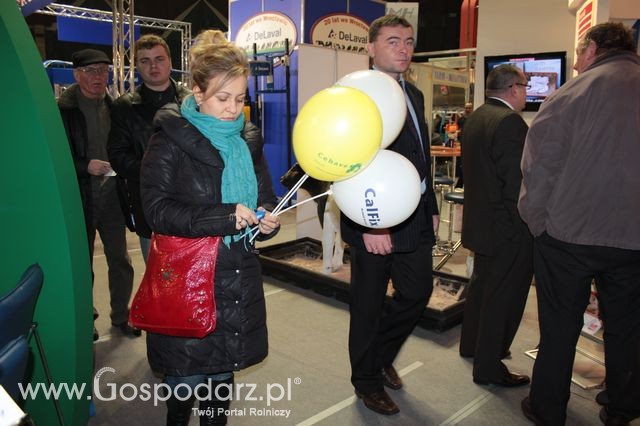 Fotoreportaż  z XI Międzynarodowych Targów Fermy Bydła