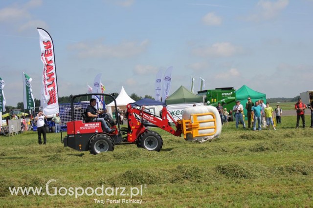 Ładowarka Thaler 3150