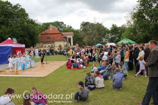 Występy artystyczne odbywające się podczas Dni Indyka