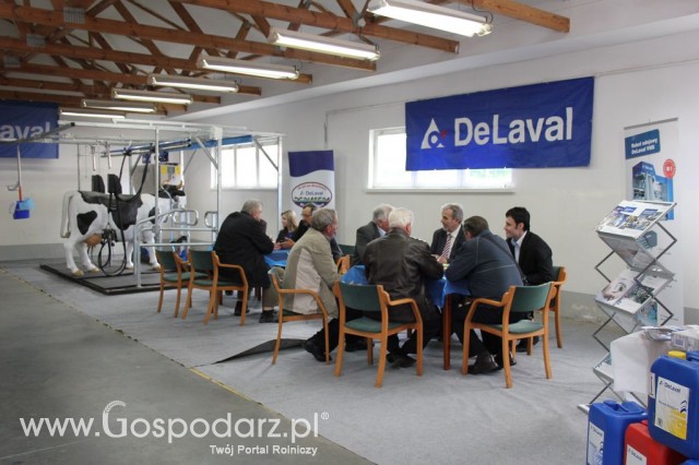 VII Ogólnopolska Wystawa Bydła Hodowlanego - 117