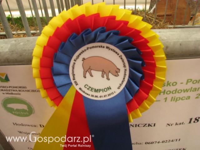 Relacja Foto Agro-Tech Minikowo 2012 - 4