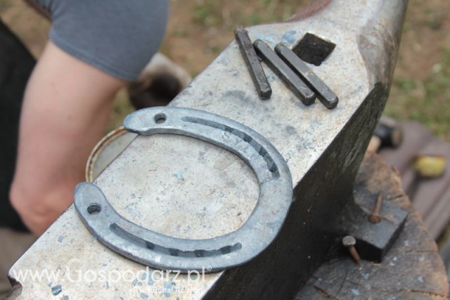 XX Targi Rolnicze Lubniewice