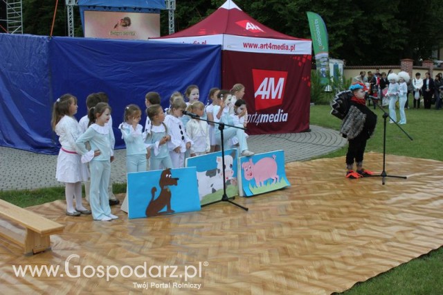 Występy artystyczne odbywające się podczas Dni Indyka