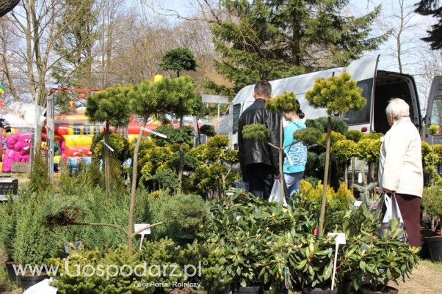 Fotoreportaż z XX Agro-Targów 2011 w Starej Łubiance