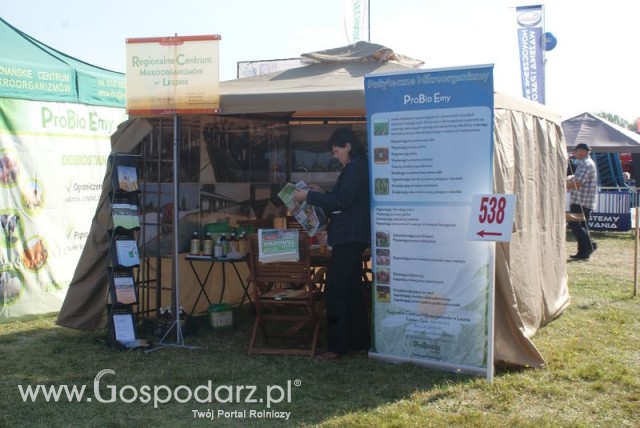 Zdj. - 94 - Regionalne Centrum Mikroorganizmów w Lesznie